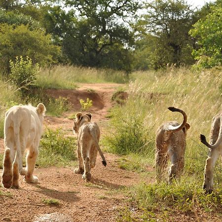 Ukutula Lion Lodge Beestekraal  Bagian luar foto
